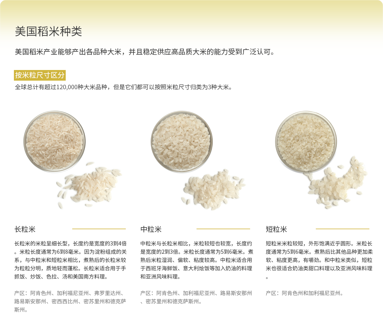 美国稻米种类
