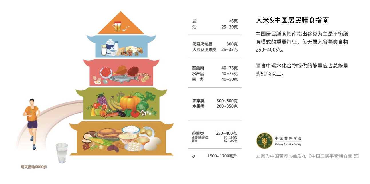 膳食指南