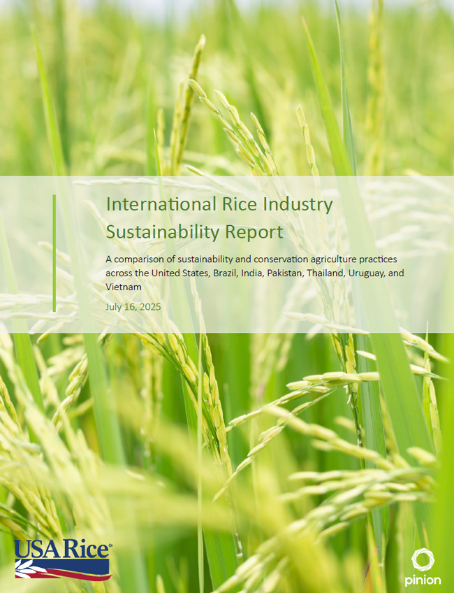 美国稻米行业发布可持续报告